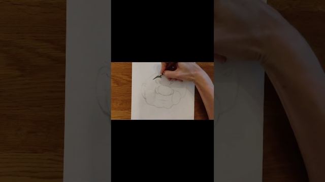 Funny Face 1. Sketch смотреть онлайн