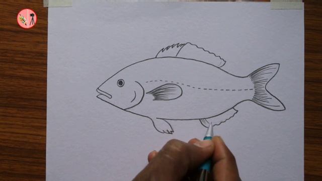 how to draw and label diagram of Fish easily - step by step / How to draw Fish in just 5 minutes смотреть онлайн