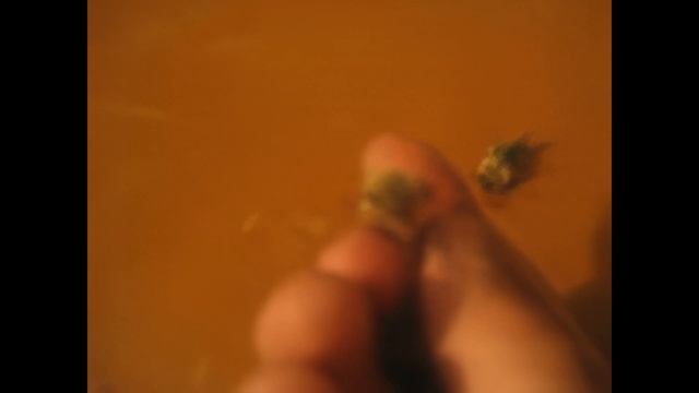 Хрущ! Это хрущ! (8K) смотреть онлайн