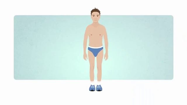 как Ккал превращаются в жир смотреть онлайн