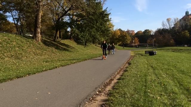 Brizon Stepwing- Elliptical Stepper Scooter Bike