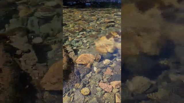 поход в горы, горная река в Сочи #черноеморе #сочи #природа #заповедник смотреть онлайн