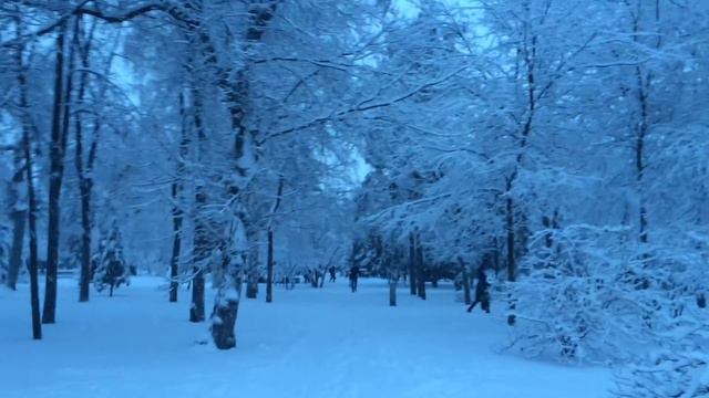 СНЕЖНЫЙ НОВОСИБИРСК 25.11.2015 смотреть онлайн