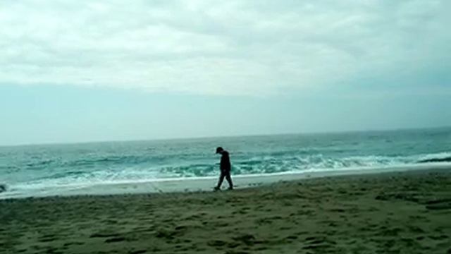 Паника. Что это и откуда? Канал Мысль смотреть онлайн