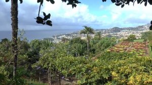 Остров Мадейра