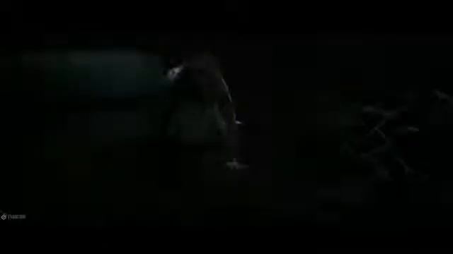 Penny Wise Dance Scene