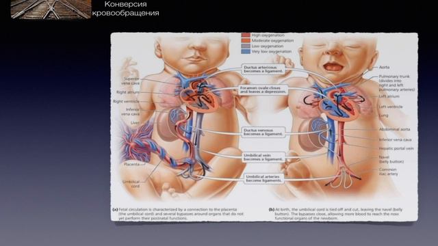ВПС-2 смотреть онлайн