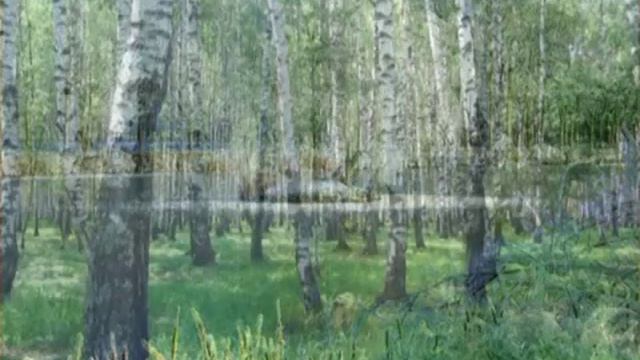 аудио отрывки 41 смотреть онлайн