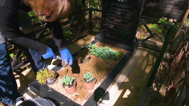 "Эпитафия" выполняет Озеленение мест захоронения. смотреть онлайн