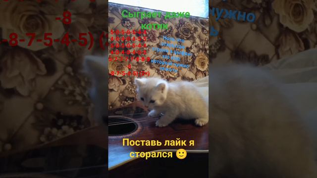 игра на гитаре#песня кузнечик как научиться играть😃😄😃 смотреть онлайн