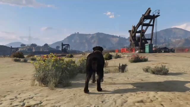 how to find animal plants in GTA V part 13 смотреть онлайн