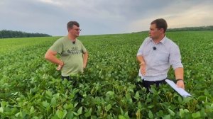 СОЯ: ПОШАГОВАЯ ИНСТРУКЦИЯ ПО ВЫРАЩИВАНИЮ КРУТОГО УРОЖАЯ✅