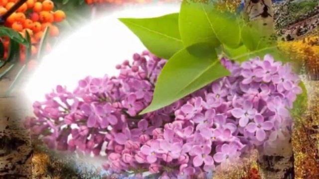 Отговорила роща золотая. смотреть онлайн