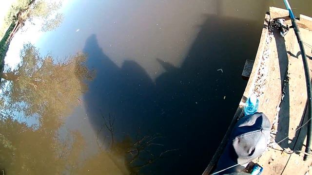 Ловля Карпа на поплавочные снасти смотреть онлайн