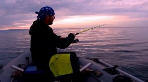 РЫБАЛКА СЕКРЕТНЫЙ СПОСОБ ЛОВЛИ ОГРОМНОЙ СТАВРИДЫ !!!!! #рыбалка #хорошийулов #ловляставриды