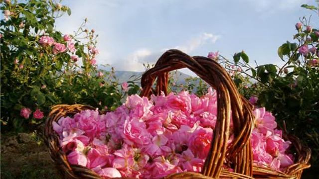 Ом Намо (Карунеш) смотреть онлайн