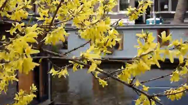 Hotel Booking Amsterdam - Phildutch Houseboat B and B смотреть онлайн