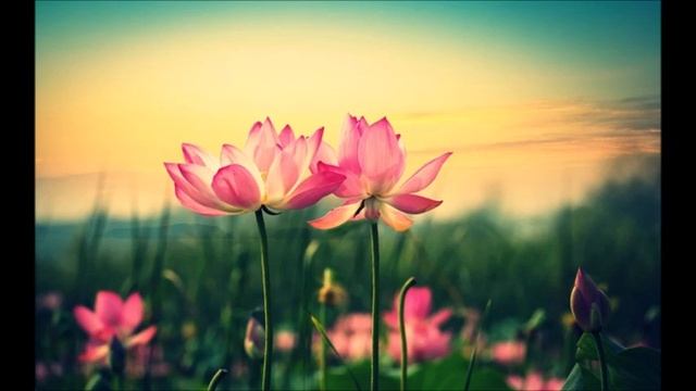 БЕЗ БОГА НЕ МОЖЕМ МЫ ЖИТЬ смотреть онлайн