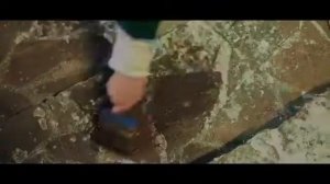 2022 год один дома