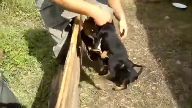 Позитив на весь день! смотреть онлайн