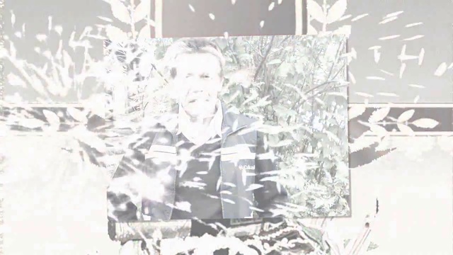 23ФЕВРАЛЯ(20.02.2015) смотреть онлайн