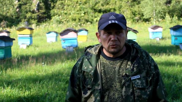 Владимир Шишкин смотреть онлайн