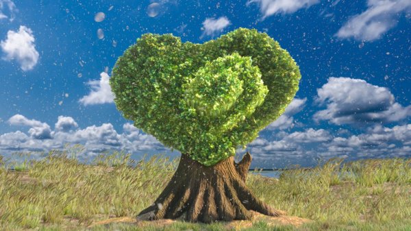 Heartwood. Экскурсия по каналу. Трейлер канала.