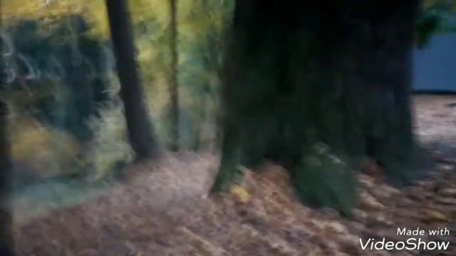 Зомби и как вылечить этот вирус. Эксперимент. смотреть онлайн