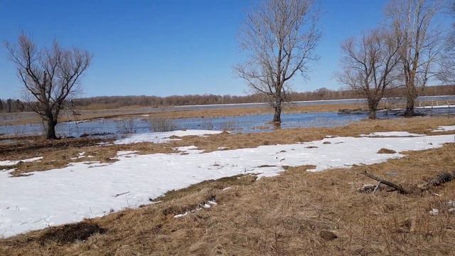 Идёт большая вода!! смотреть онлайн