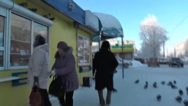 Дикие уличные голуби, продавщица молочных продуктов и птицы. 05. 01. 2019 смотреть онлайн