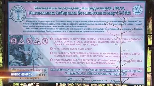 платный вход в ботсад смотреть онлайн