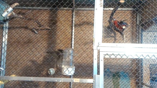 СтройСоветы