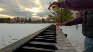 tony ann - ascension