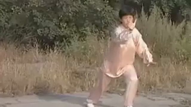 Тайцзицюань стиля У. Учебное видео. 1часть. смотреть онлайн