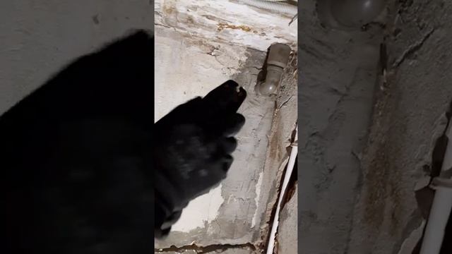 опрессовка скруток гильзами ГМЛ смотреть онлайн
