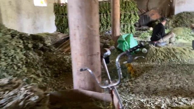 Бизнес без вложений|лекарственные травы|сбор трав смотреть онлайн