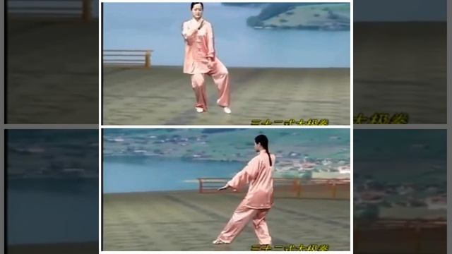 32式太極拳 正面背面合一（吳阿敏）Amin Wu - 32 Form Taijiquan Front & Rear view смотреть онлайн