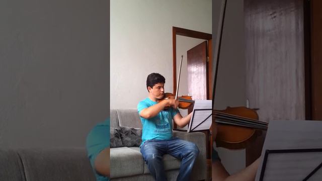 Canon Em Ré Violino Guarneri