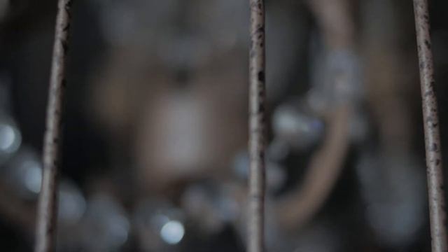 Псевдо v-log. Камера Panasonic g80 смотреть онлайн