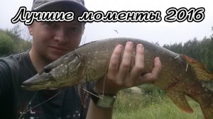 Рыбалка в Тамбовской области. Лучшие моменты 2016