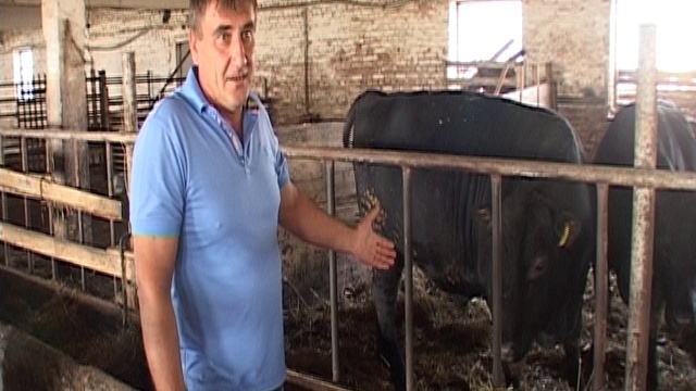 Развитие сельского хозяйства в Можайском районе смотреть онлайн