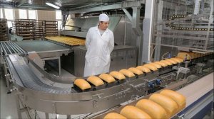 Познавательная беседа  для детей "Хлеб всему голова"