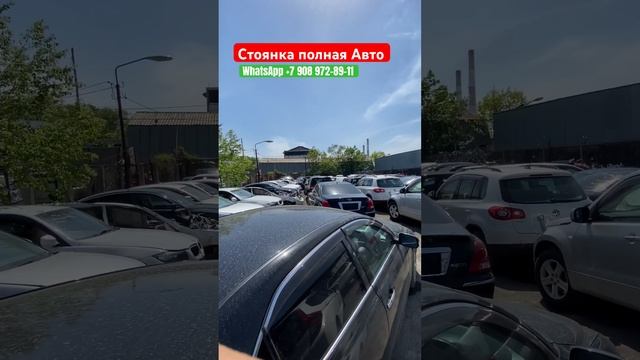 Автомобили из Японии, отправляем по всей России ￼ смотреть онлайн