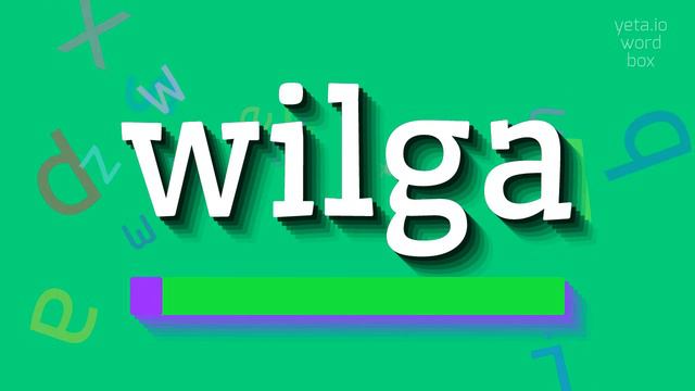 WILGA - HOW TO PRONOUNCE WILGA? #wilga смотреть онлайн