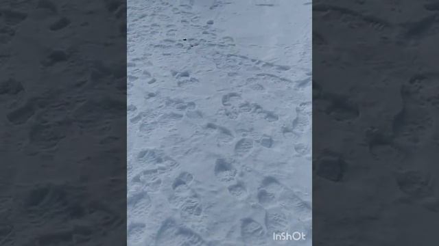 Зимняя рыбалка с покатушками смотреть онлайн