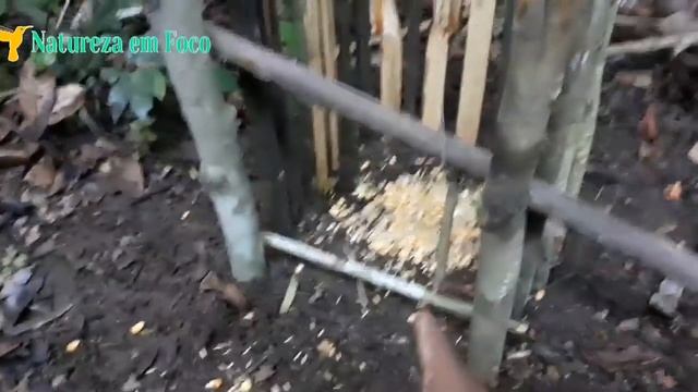 Armadilha mortal QUEBRA CABEÇA - Para pegar Aves grandes смотреть онлайн