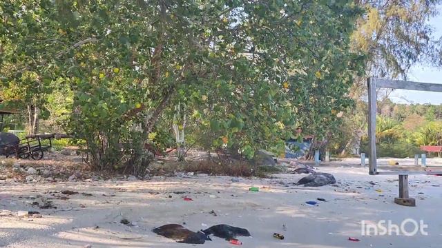 Koh Rong - Sad side смотреть онлайн