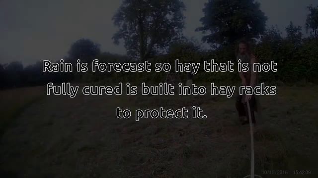 Hand Hay Making during unsettled weather смотреть онлайн