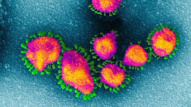 самые невероятные факты о корона вирусе смотреть онлайн