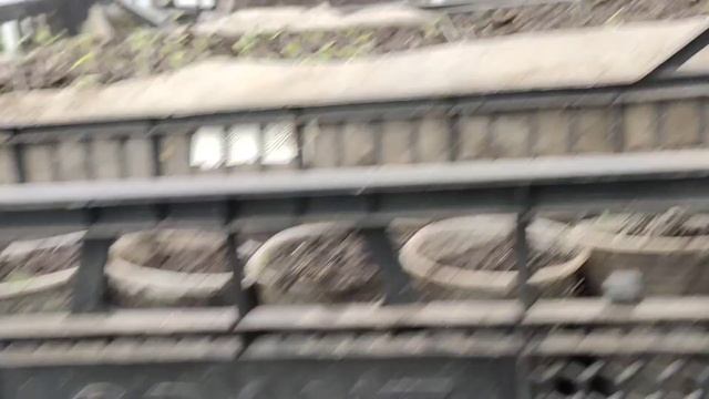 Тепличное хозяйство. Обход что изменилось за неделю. смотреть онлайн